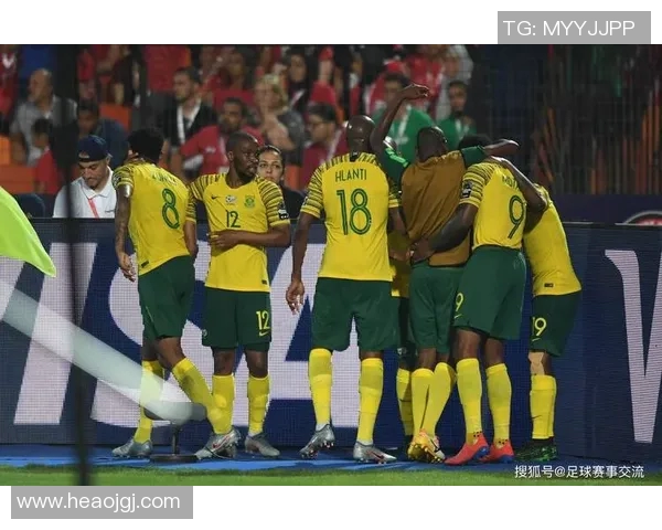 巴西与奥地利比赛结果揭晓进球情况如何分析